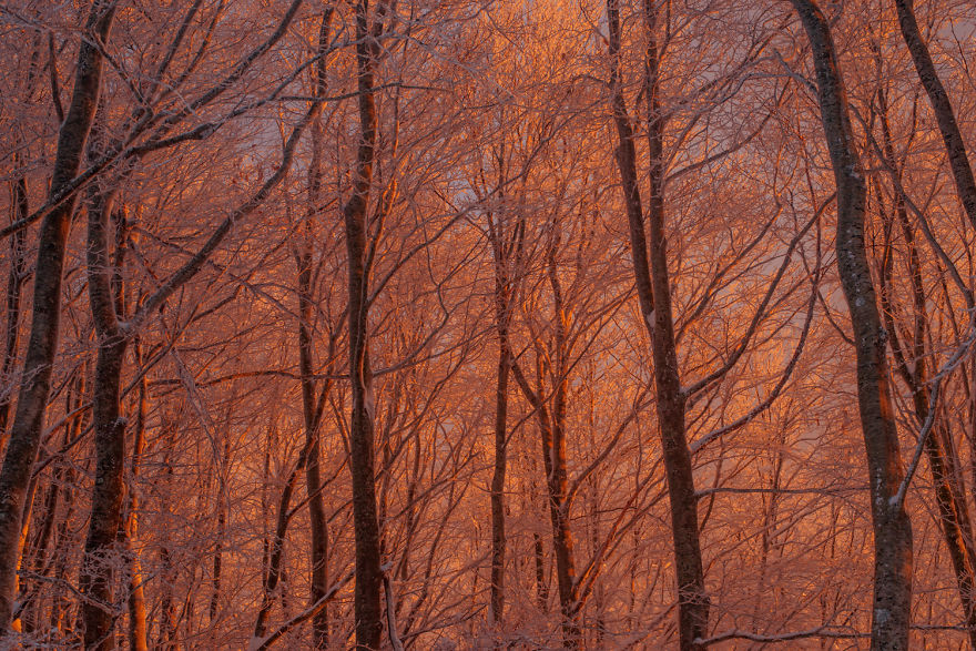 I Shot The First Snow On Mt Pelion I Shot The First Snow On Mt Pelion