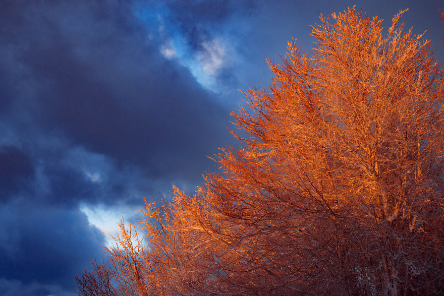 I Shot The First Snow On Mt Pelion