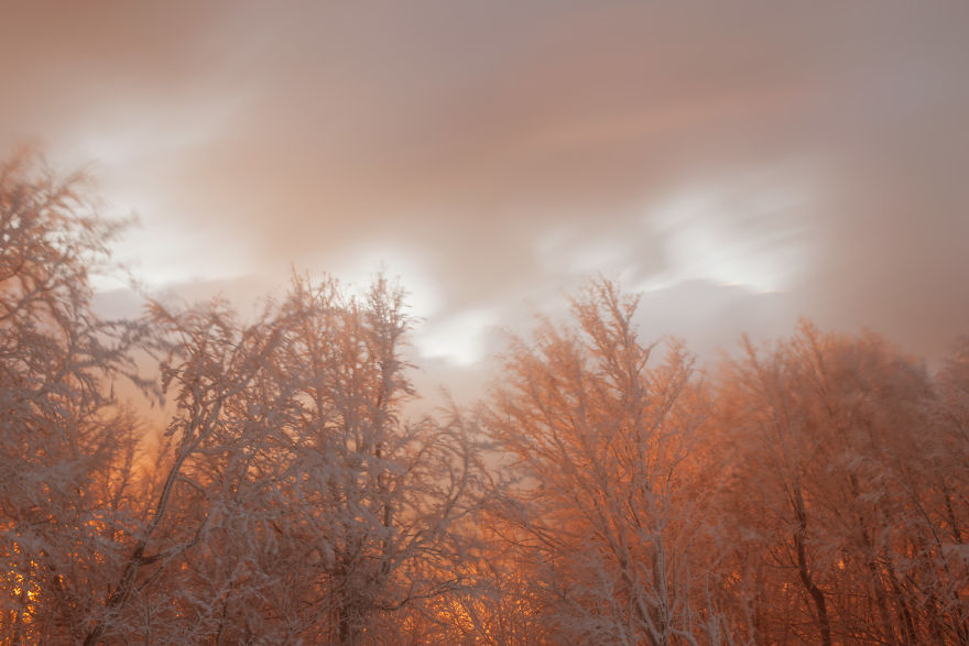 I Shot The First Snow On Mt Pelion I Shot The First Snow On Mt Pelion