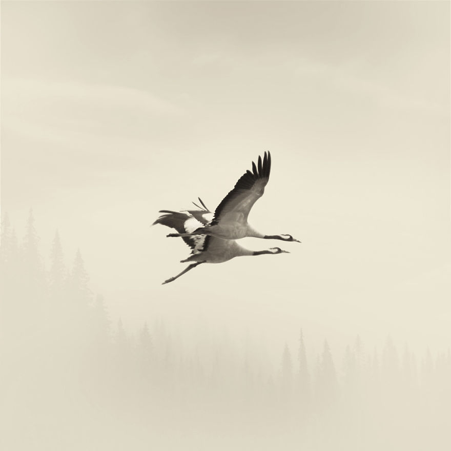 Deep Souls: We Portray Different Personalities Of Animals