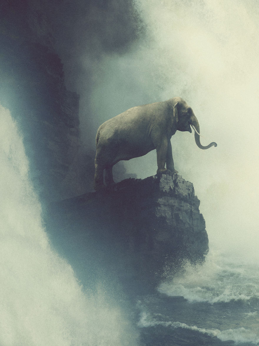 Deep Souls: We Portray Different Personalities Of Animals