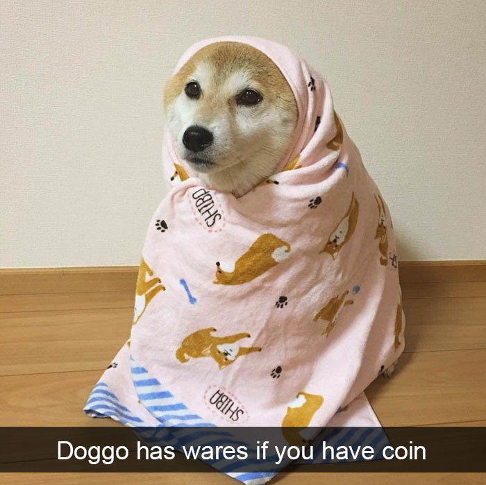 Dogs-Funny-Snapchats