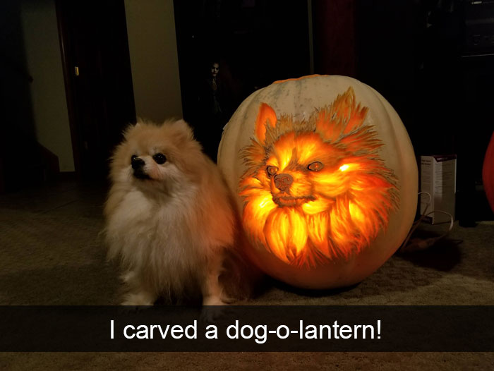 Dogs-Funny-Snapchats