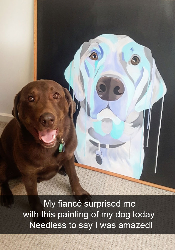 Dogs-Funny-Snapchats