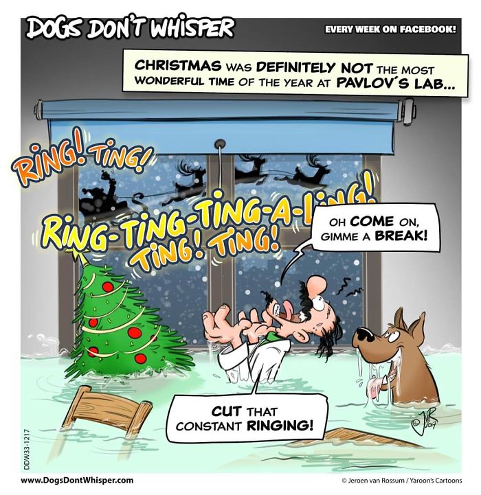 Problems At Pavlov's Place