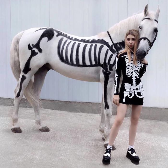 Meet Ellen Sheidlin, The Russian Artist Who Is Daring With Her Works On Instagram