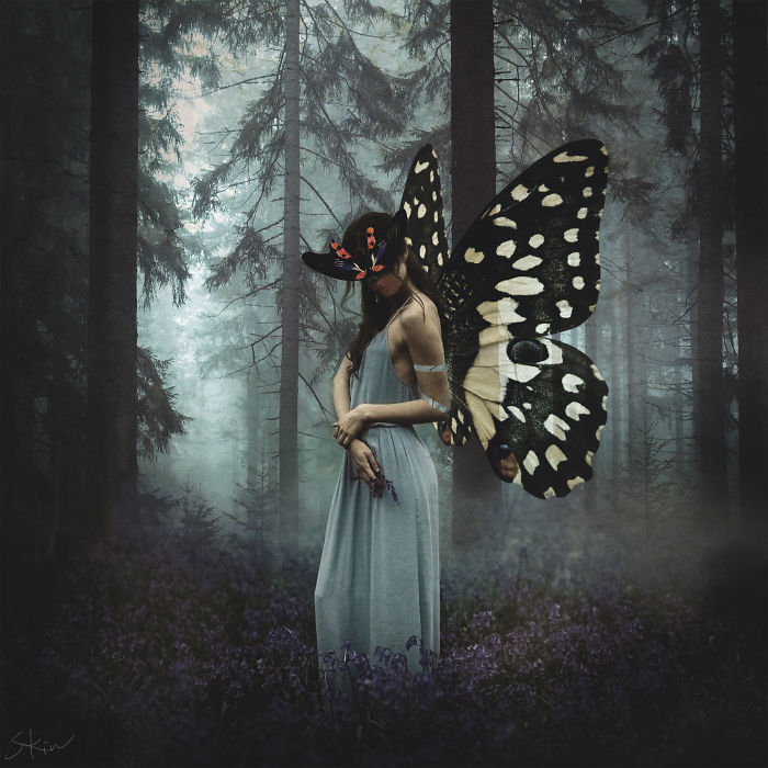 Surrealism By Steven Kin