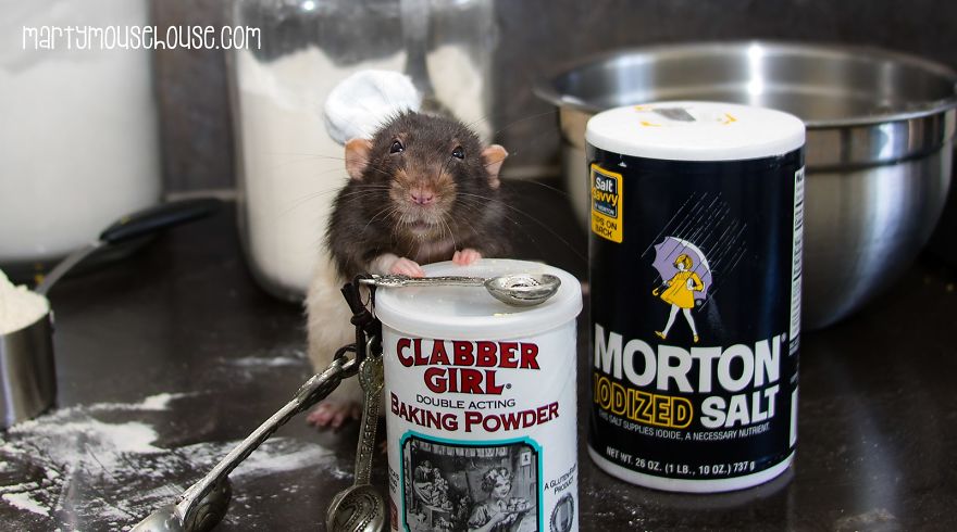 This Adorable Rat Chef Will Help You Make Cookies!