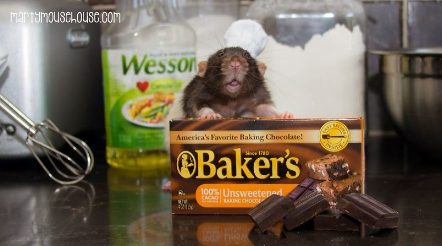 This Adorable Rat Chef Will Help You Make Cookies!