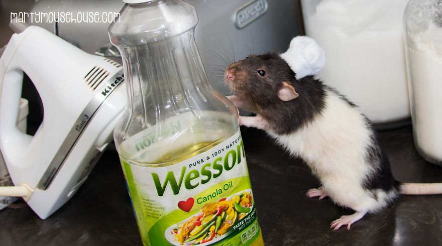 This Adorable Rat Chef Will Help You Make Cookies!
