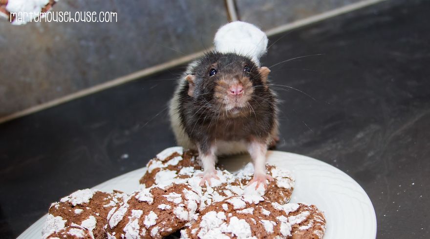 This Adorable Rat Chef Will Help You Make Cookies!