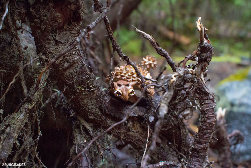 These Dinosaur-Mushroom Toys Have Traveled More Than Most People
