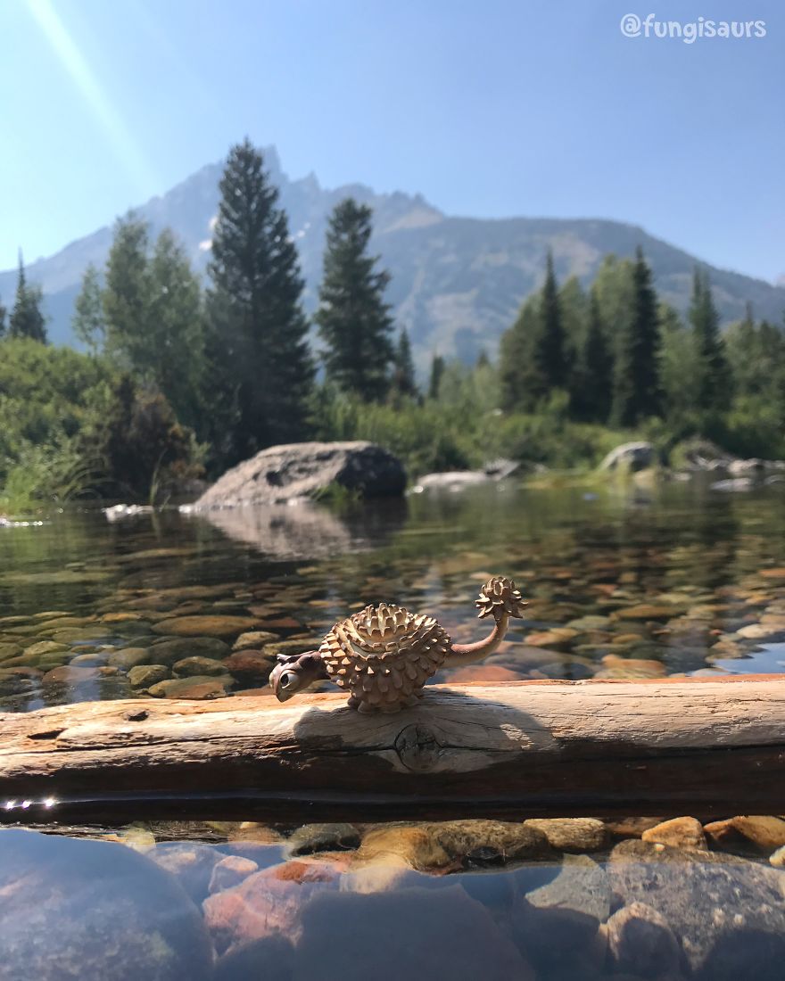 These Dinosaur-Mushroom Toys Have Traveled More Than Most People