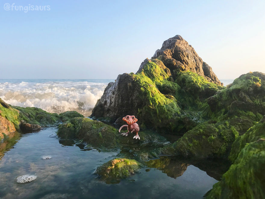 These Dinosaur-Mushroom Toys Have Traveled More Than Most People