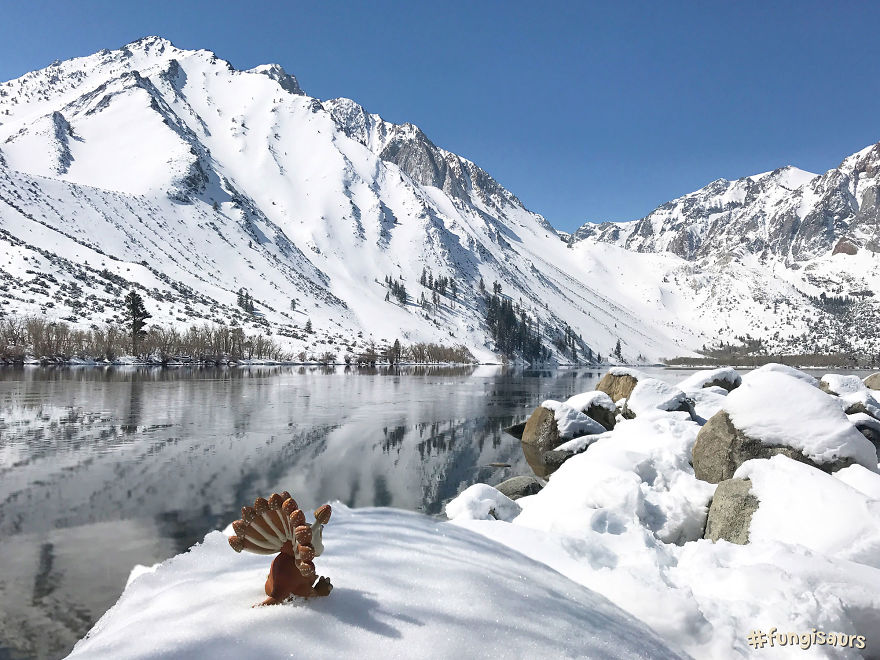 These Dinosaur-Mushroom Toys Have Traveled More Than Most People