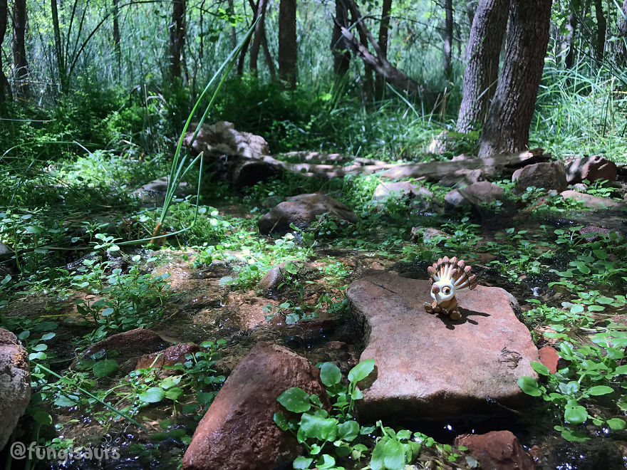 These Dinosaur-Mushroom Toys Have Traveled More Than Most People