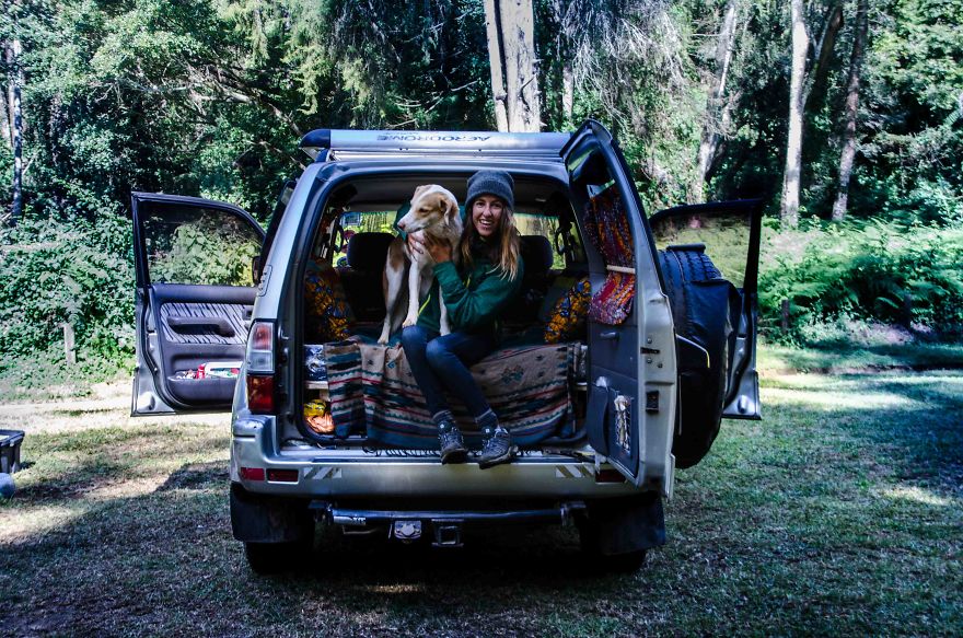 Gingy Mou, The Zambian Rescued Dog, Arrives To Barcelona After A Year Of Traveling Through Africa