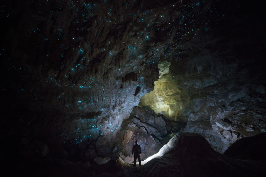Glow Worms Turn New Zealand Cave Into Starry Night And I Spent Past Year Photographing It (Part 2) Glow Worms Turn New Zealand Cave Into Starry Night And I Spent Past Year Photographing It (Part 2)