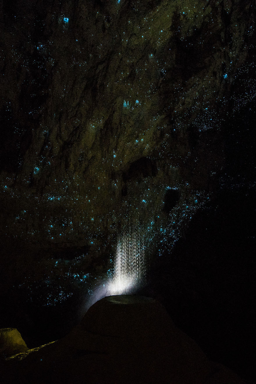 Glow Worms Turn New Zealand Cave Into Starry Night And I Spent Past Year Photographing It (Part 2) Glow Worms Turn New Zealand Cave Into Starry Night And I Spent Past Year Photographing It (Part 2)
