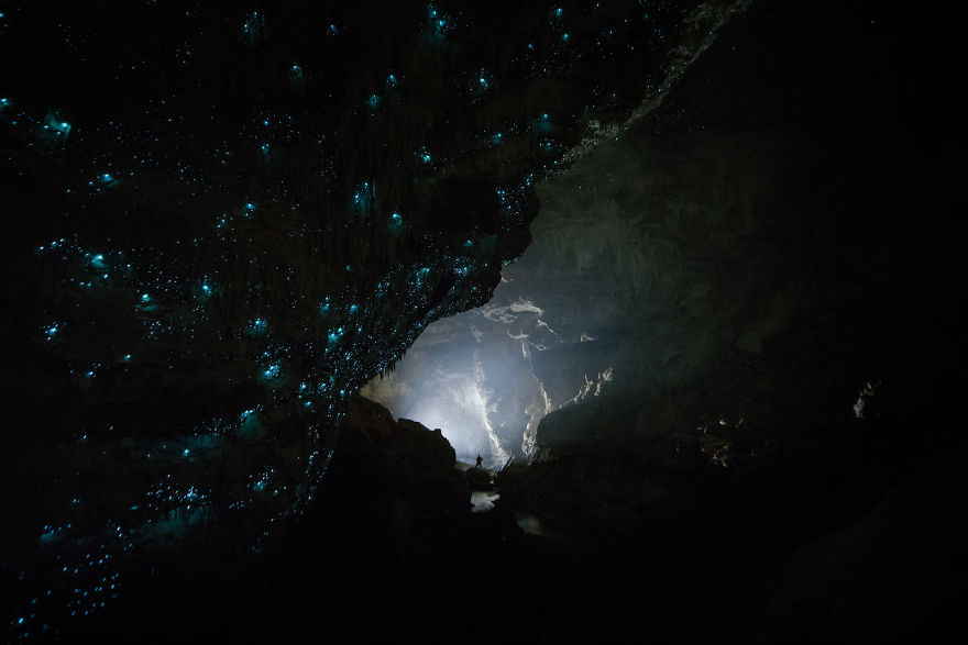 Glow Worms Turn New Zealand Cave Into Starry Night And I Spent Past Year Photographing It (Part 2) Glow Worms Turn New Zealand Cave Into Starry Night And I Spent Past Year Photographing It (Part 2)