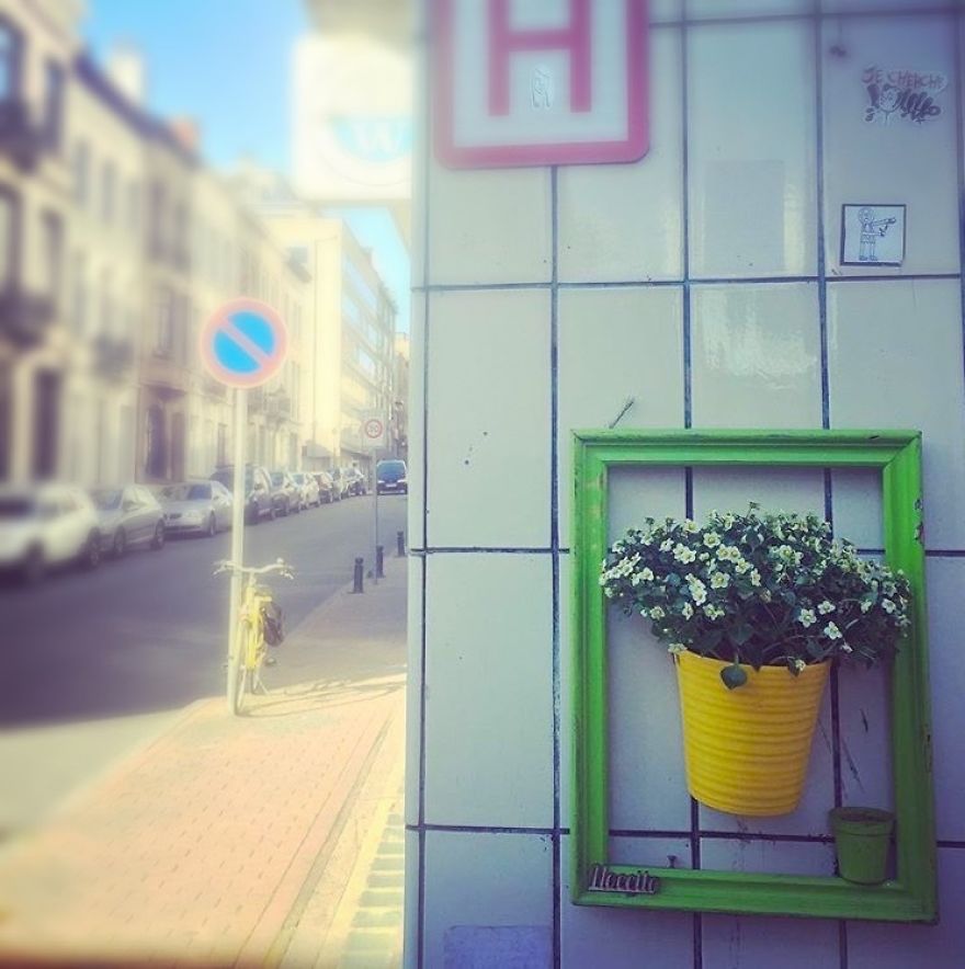I Install Colorful Flowers In Wooden Frames All Over Cities