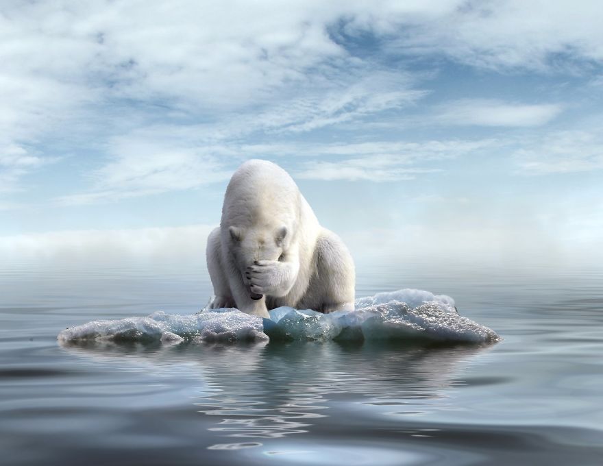 I Create Images That Tell Stories