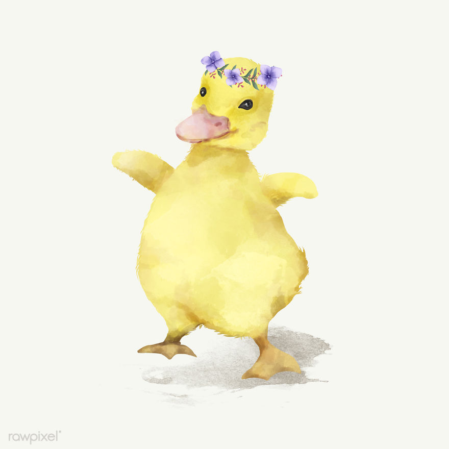 I Created Digital Drawings Of Adorable Animals And Made The Collection Free For One Week