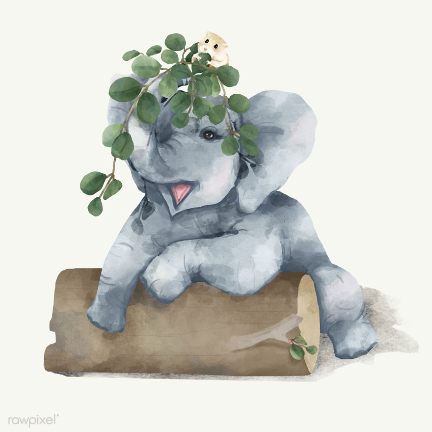 I Created Digital Drawings Of Adorable Animals And Made The Collection Free For One Week
