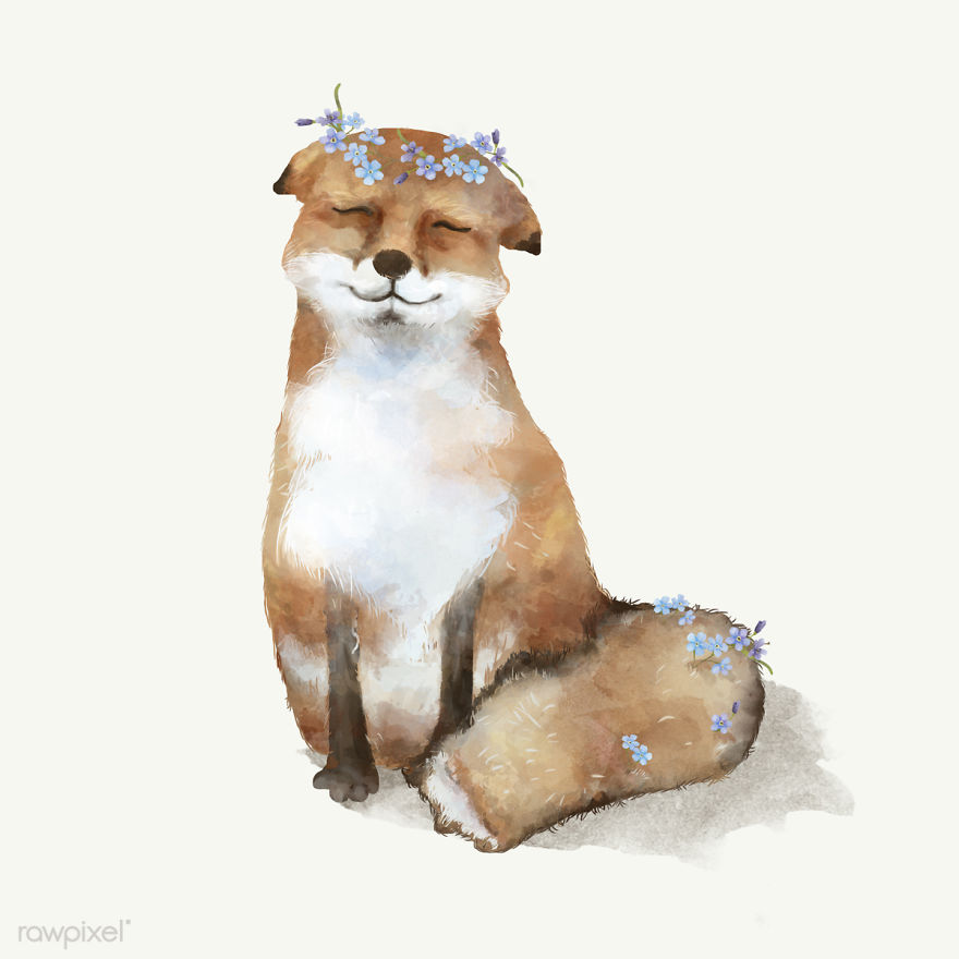 I Created Digital Drawings Of Adorable Animals And Made The Collection Free For One Week