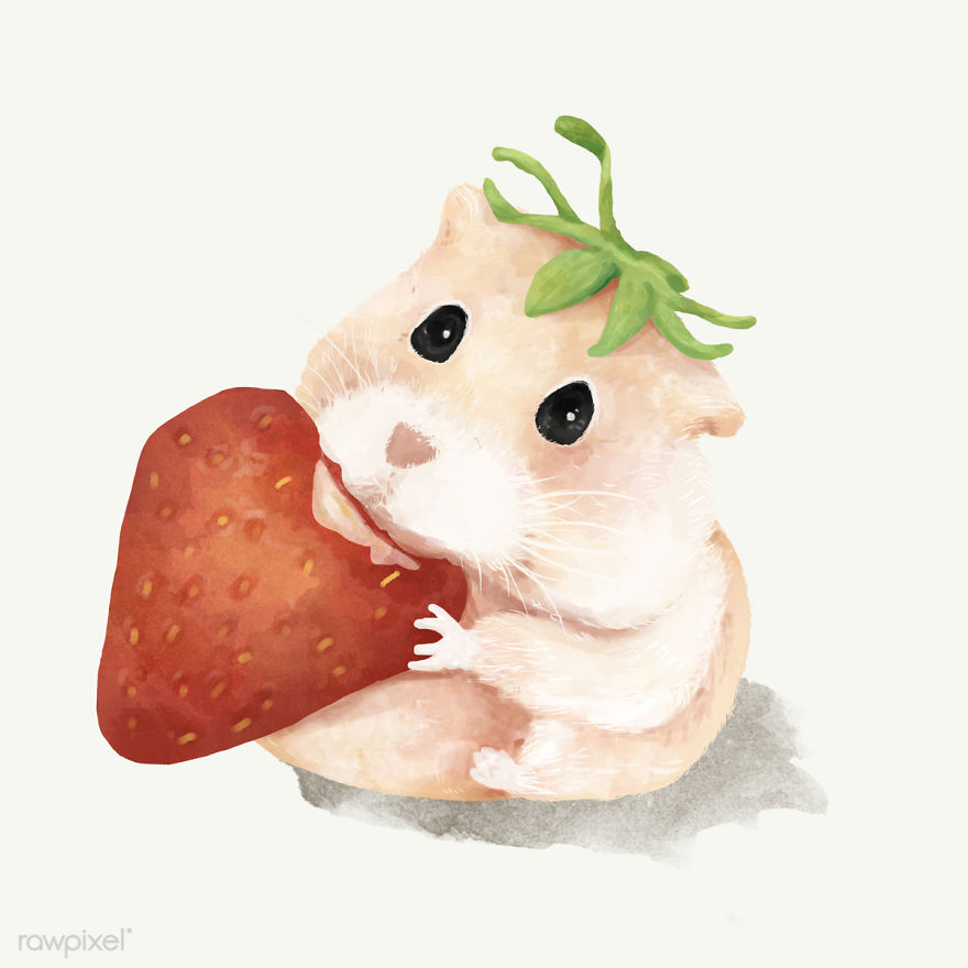 I Created Digital Drawings Of Adorable Animals And Made The Collection Free For One Week
