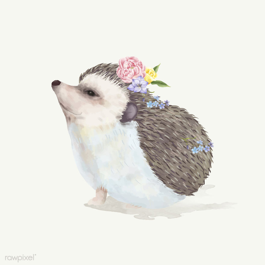 I Created Digital Drawings Of Adorable Animals And Made The Collection Free For One Week