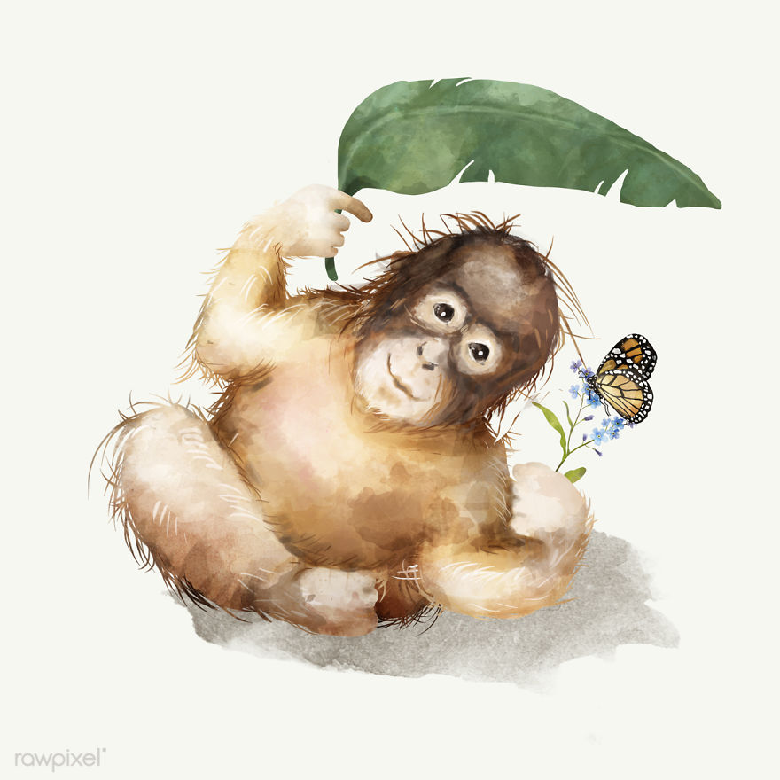 I Created Digital Drawings Of Adorable Animals And Made The Collection Free For One Week