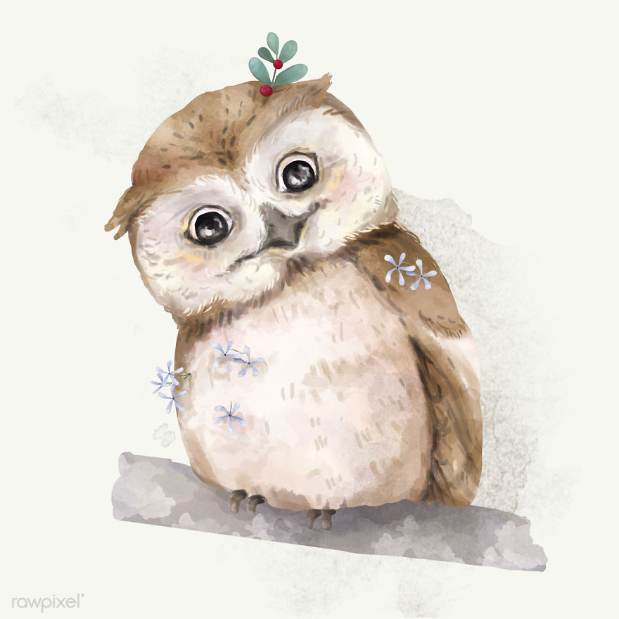 I Created Digital Drawings Of Adorable Animals And Made The Collection Free For One Week