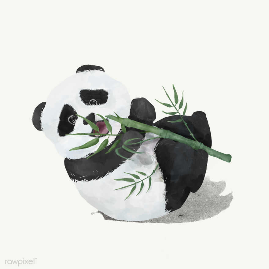 I Created Digital Drawings Of Adorable Animals And Made The Collection Free For One Week