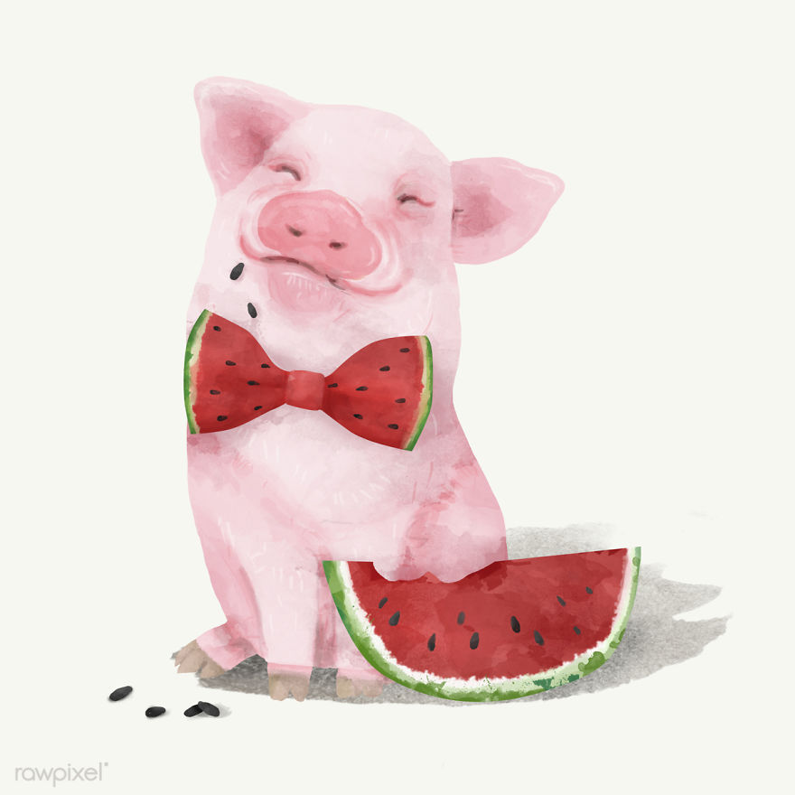 I Created Digital Drawings Of Adorable Animals And Made The Collection Free For One Week