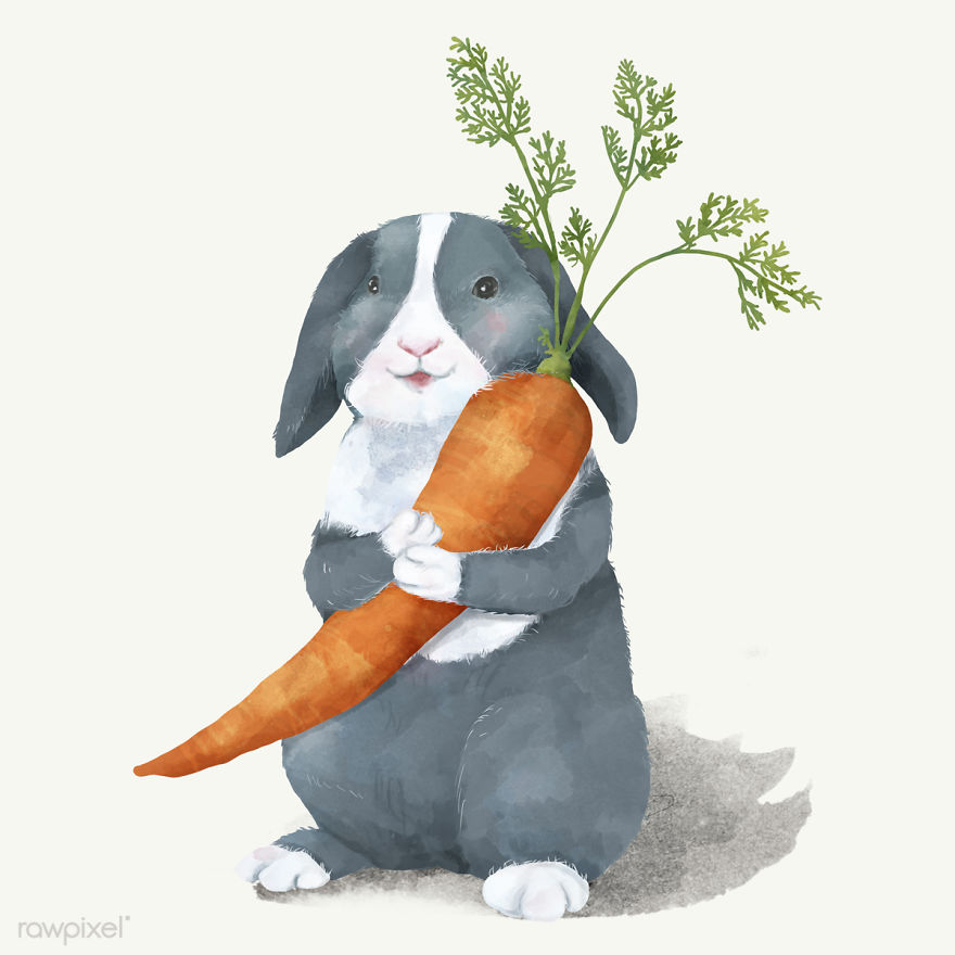 I Created Digital Drawings Of Adorable Animals And Made The Collection Free For One Week