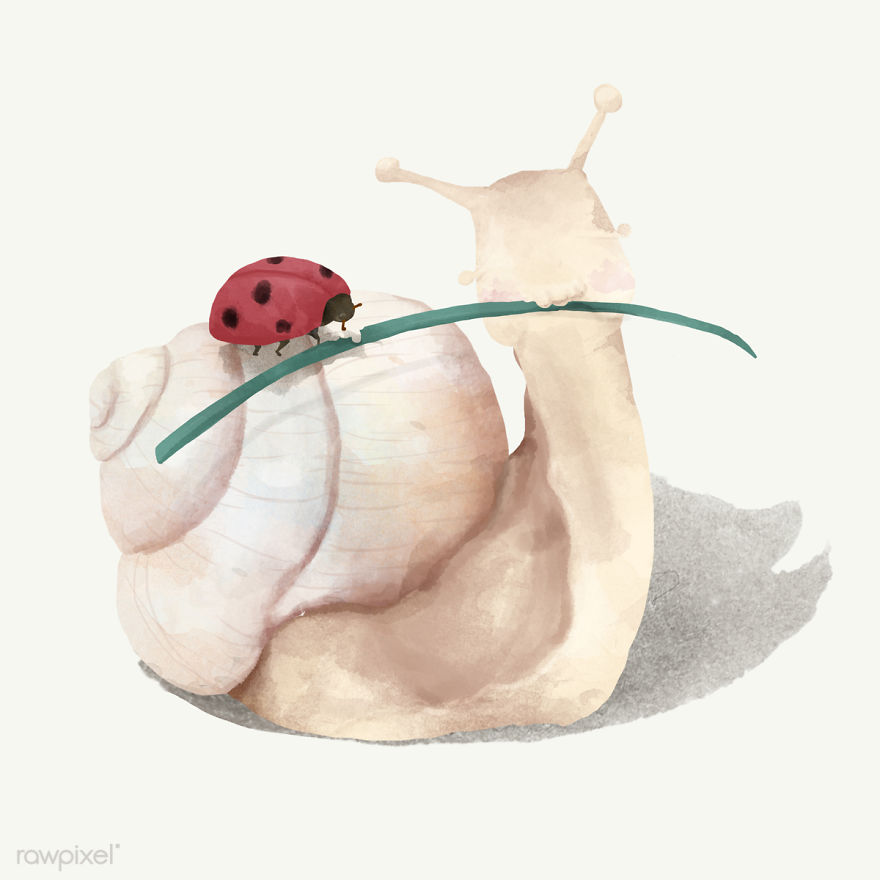 I Created Digital Drawings Of Adorable Animals And Made The Collection Free For One Week