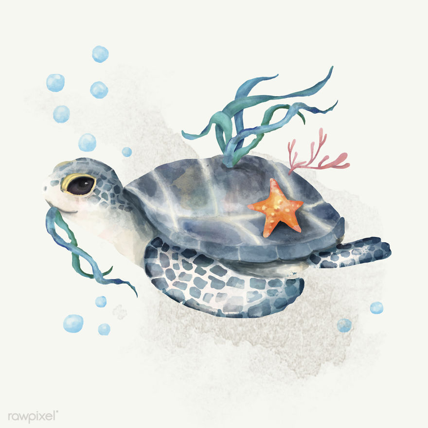 I Created Digital Drawings Of Adorable Animals And Made The Collection Free For One Week