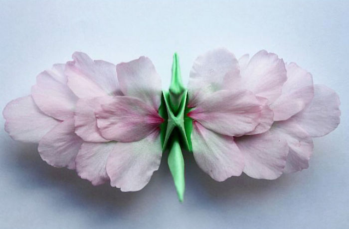 I Folded And Decorated An Origami Crane Every Day, For 1000 Days