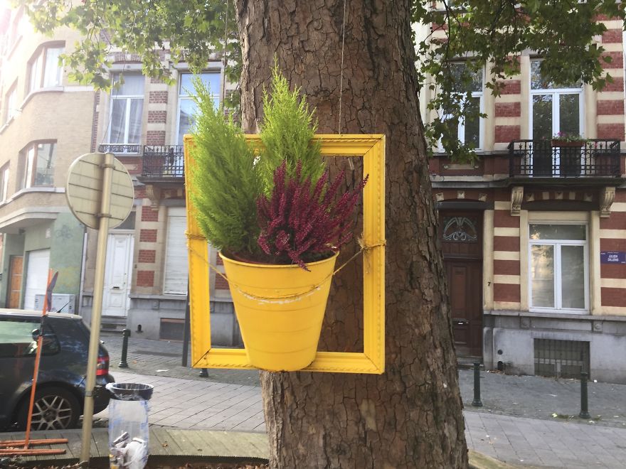 I Install Colorful Flowers In Wooden Frames All Over Cities I Install Colorful Flowers In Wooden Frames All Over Cities