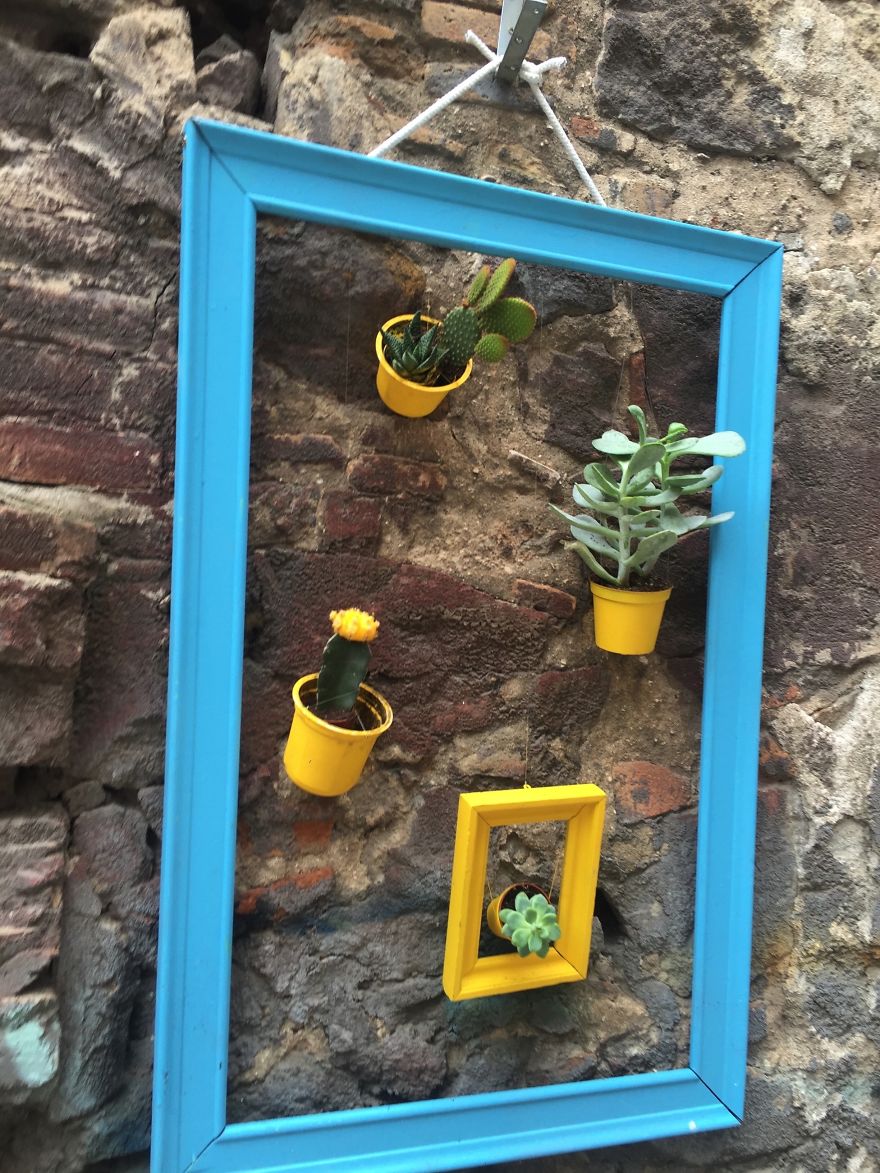 I Install Colorful Flowers In Wooden Frames All Over Cities I Install Colorful Flowers In Wooden Frames All Over Cities