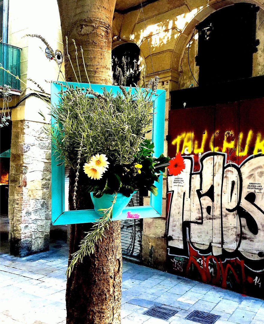 I Install Colorful Flowers In Wooden Frames All Over Cities I Install Colorful Flowers In Wooden Frames All Over Cities