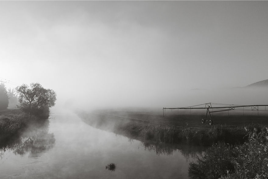 Photographing The Cranes Migration Photographing The Cranes Migration
