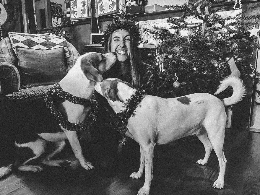 Gingy Mou, The Zambian Rescued Dog, Arrives To Barcelona After A Year Of Traveling Through Africa