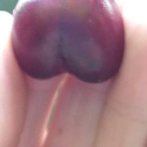 thorsgirl-mvp avatar