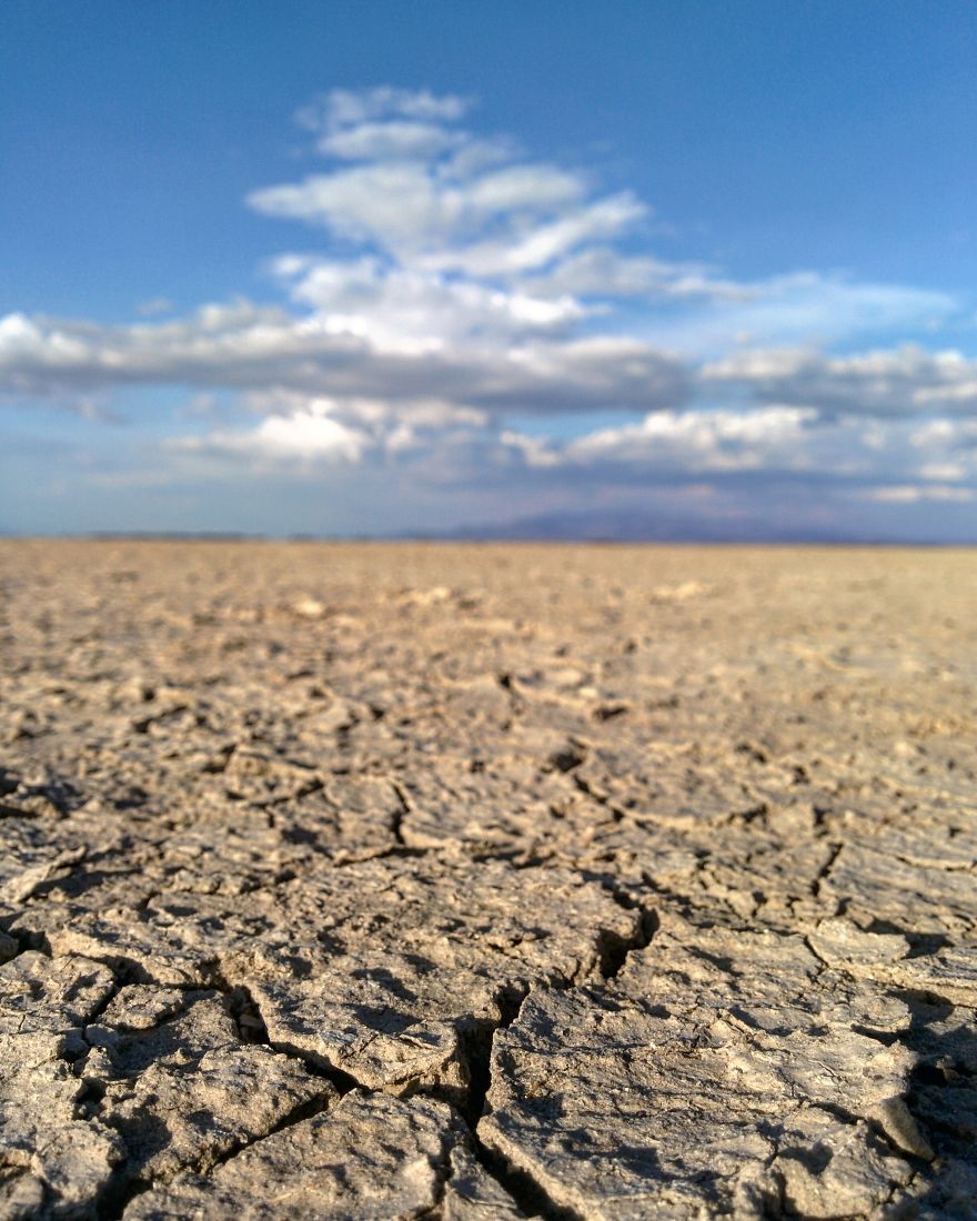 I Went On A Safari And Only Used My Smartphone To Take These Pictures! I Went On A Safari And Only Used My Smartphone To Take These Pictures!