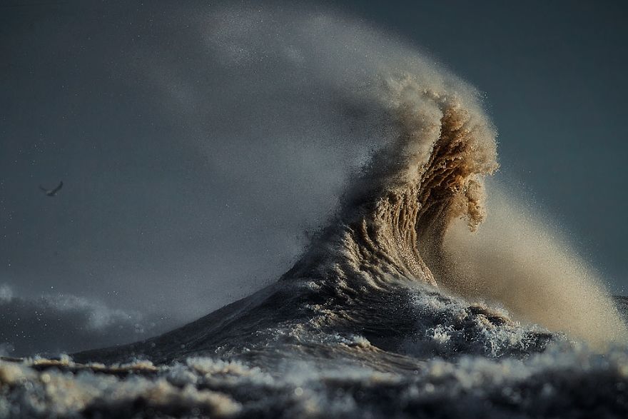 Twenty - Nine Chimes