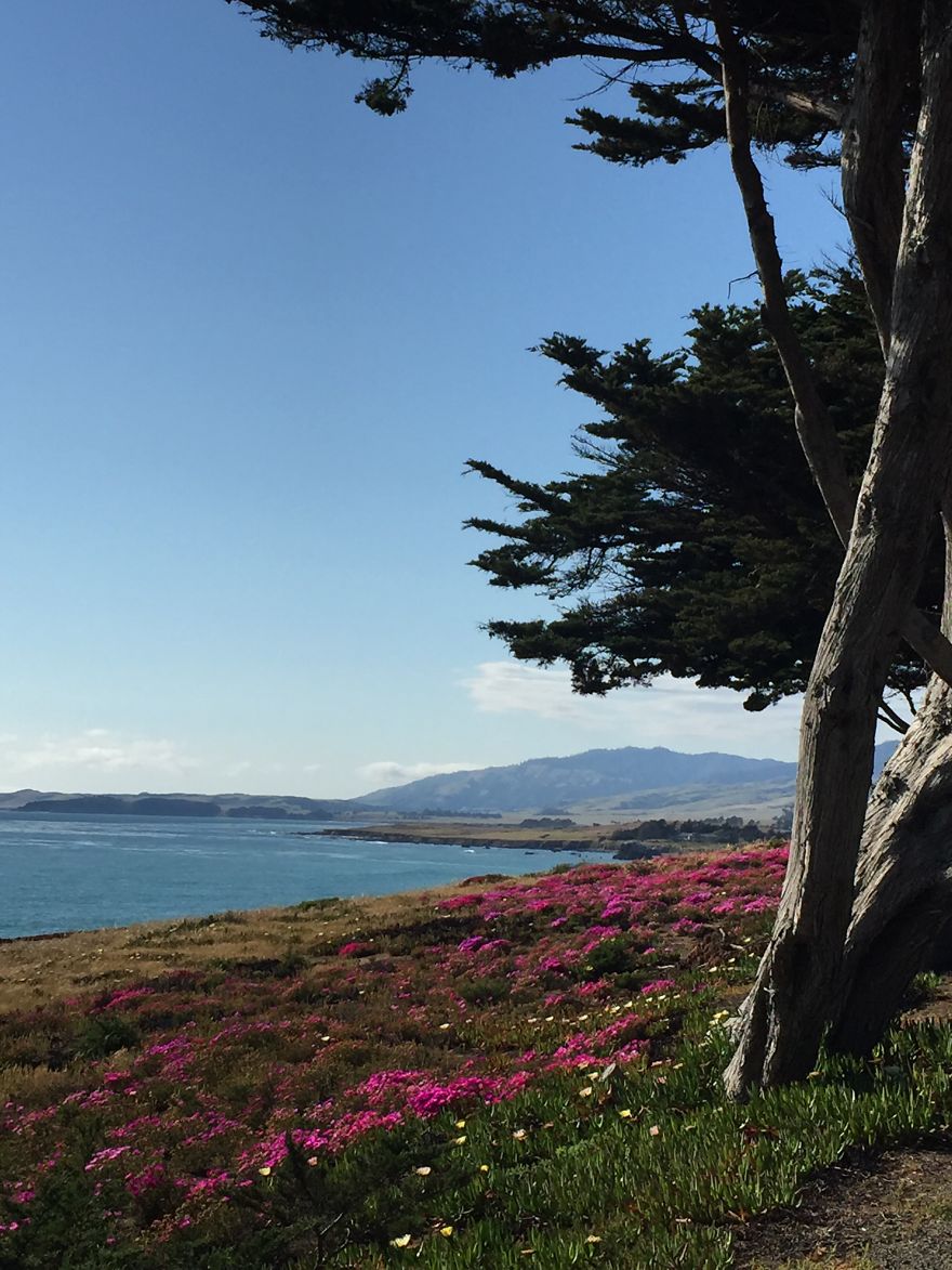 Greetings From California!