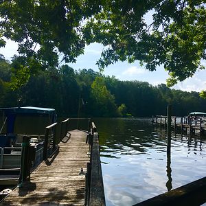 tommy-daquino-5 avatar