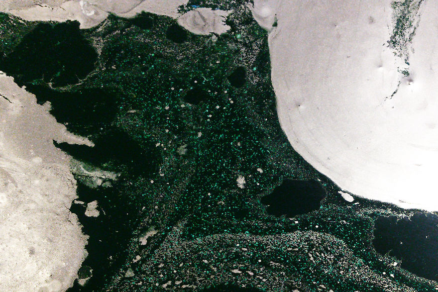 Is Waste Just A Waste? Story Of 69+ Canvas That Make Friends Is Waste Just A Waste? Story Of 69+ Canvas That Make Friends